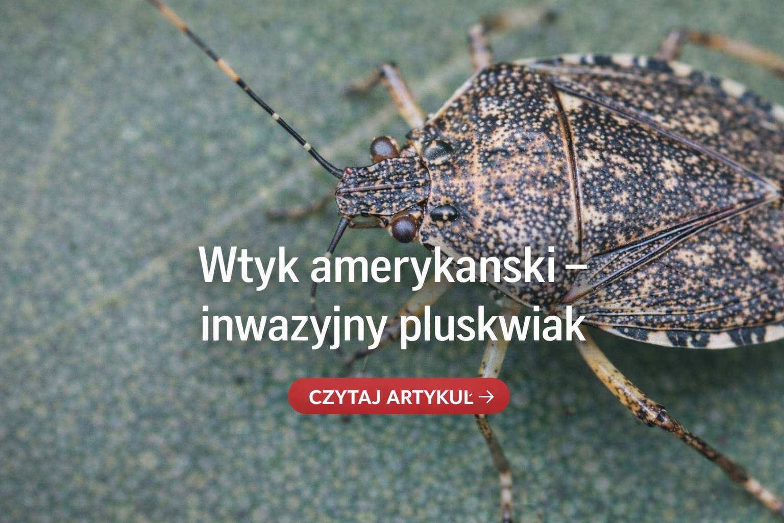 chatgpt image 20 kwi 2026, 08 25 14