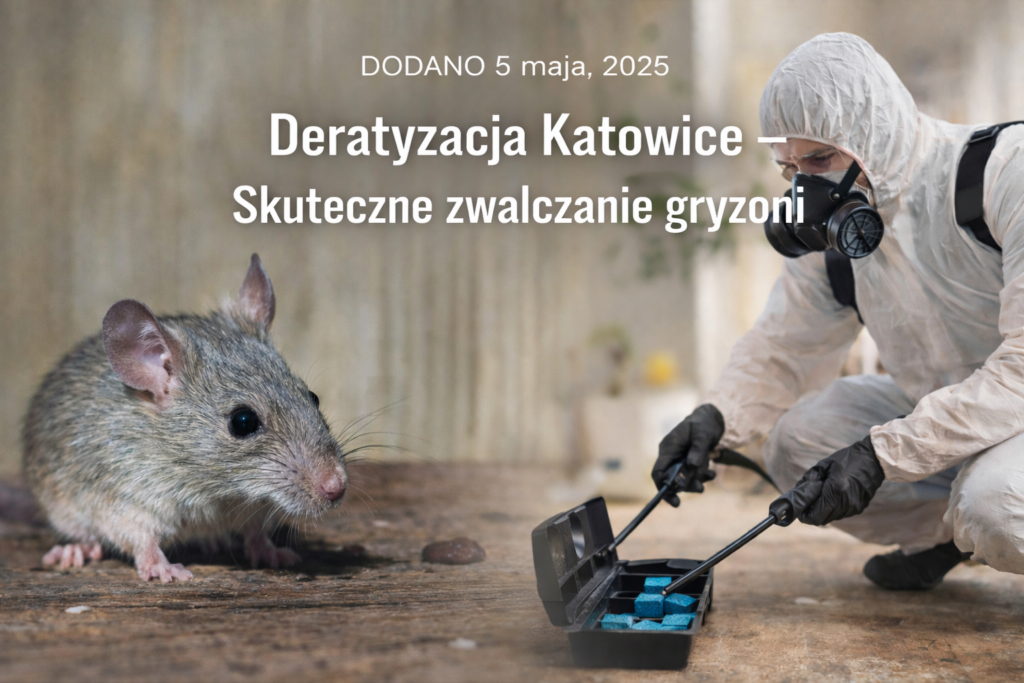 Deratyzacja Katowice