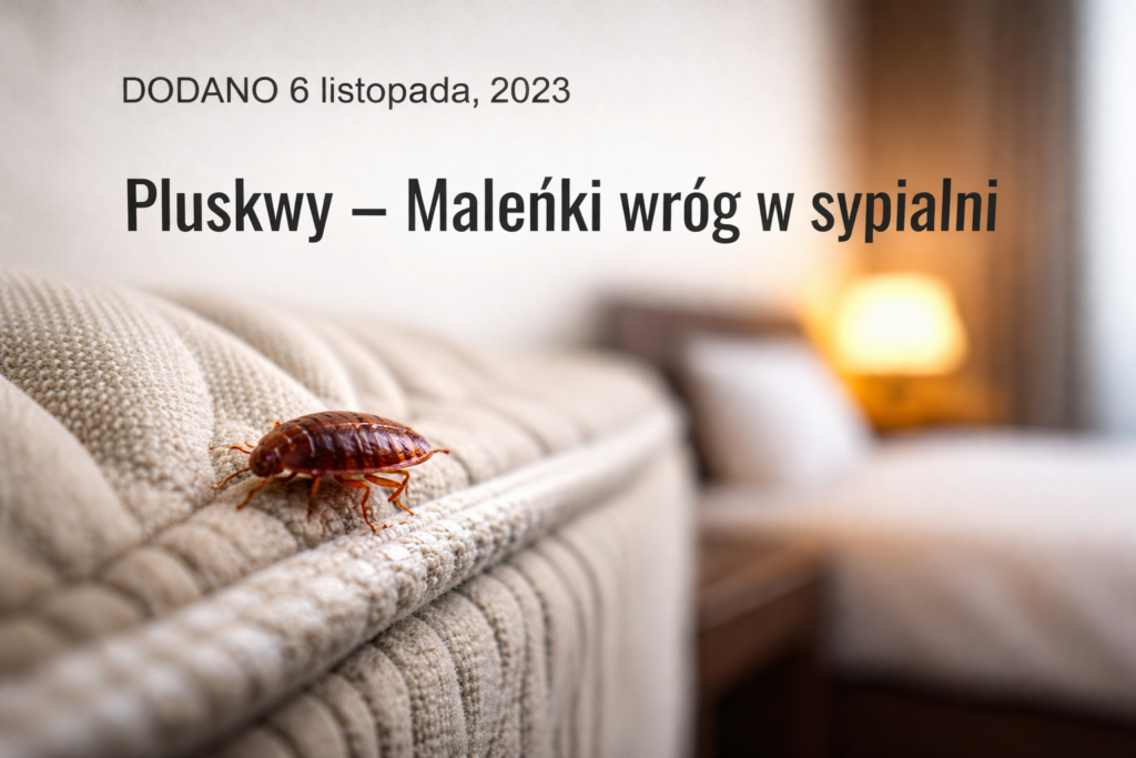 chatgpt image 20 kwi 2026, 17 25 53