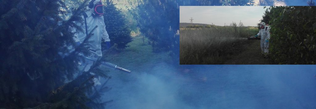 Zwalczanie kleszczy-Dezynpol